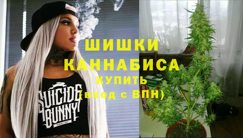 Шишки марихуана SATIVA & INDICA  купить  цена  кракен ссылки  Короча 